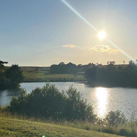 Cuddfan Lodge On A Gorgeous Private Lake Newport  Eksteriør billede