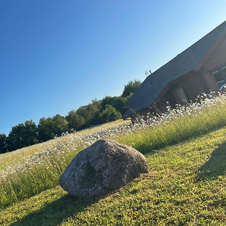 Cuddfan Lodge On A Gorgeous Private Lake Newport  Eksteriør billede